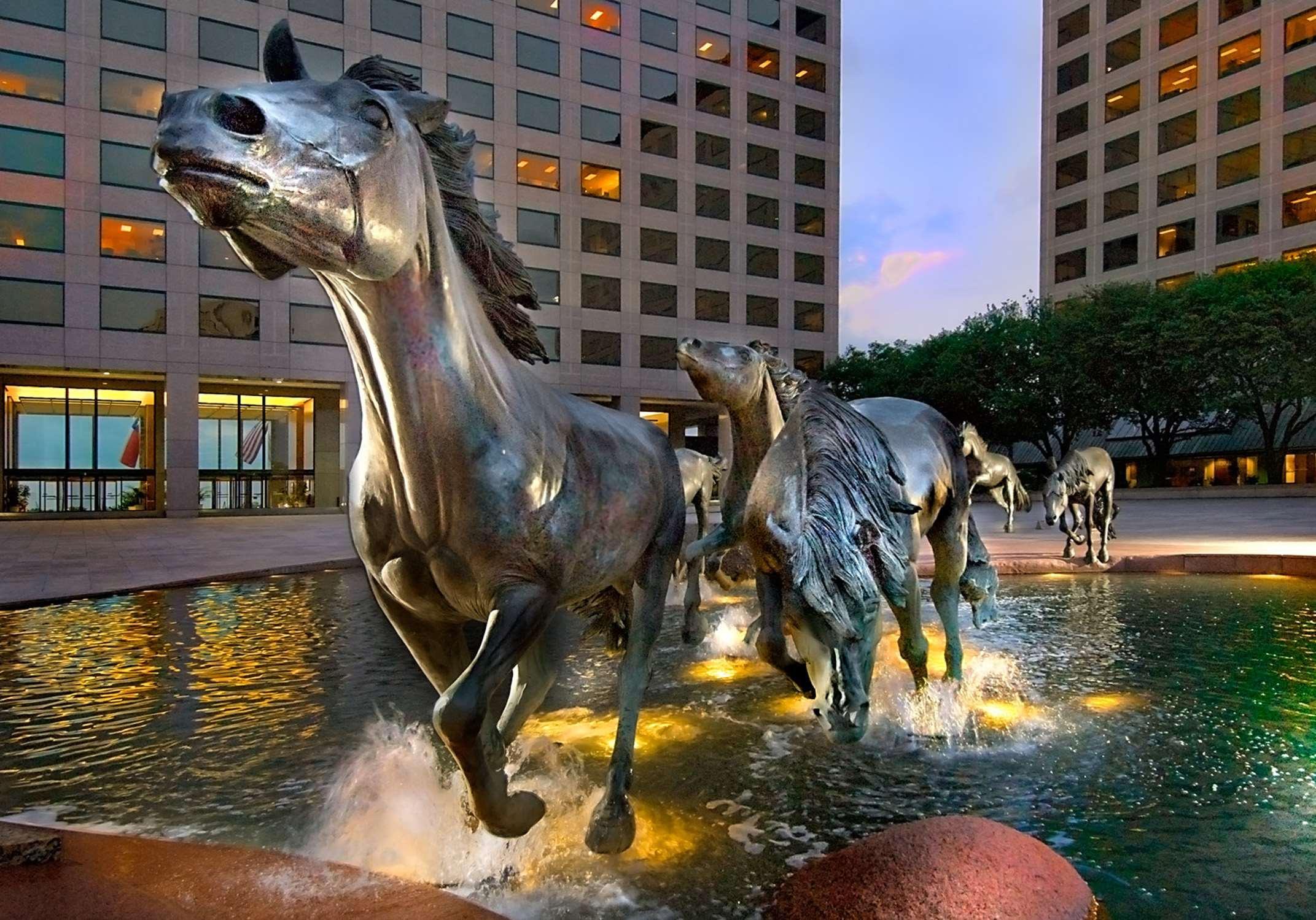 Hilton Garden Inn Dfw Airport South Irving Kültér fotó